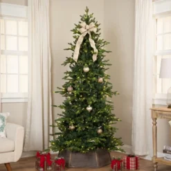 Northlight Real Touch™ Elite Pre-Lit Breckenridge Pine IPT Artificial Christmas Tree - 6' Dual Color LED 16 Northlight Real Touch™ Elite Pre-Lit Breckenridge Pine IPT Artificial Christmas Tree - 6' Dual Color LED -Home decor GUEST 8107492f 343b 4025 b6f8 a9c80f1c8e06