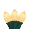 Northlight Opaque C7 Christmas String Lights - Clear - 24' Green Wire - 25ct 2 Northlight Opaque C7 Christmas String Lights - Clear - 24' Green Wire - 25ct -Home decor GUEST 82c1de9c ed47 4583 a22b f17c70fc1cfc