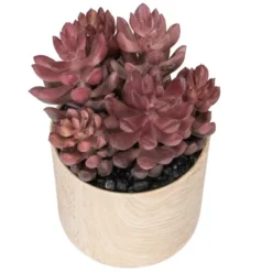 Northlight 7" Purple Artificial Succulent In Faux Wood Pot -Home decor GUEST 863e8c39 c835 430c aad8 c969438903e0