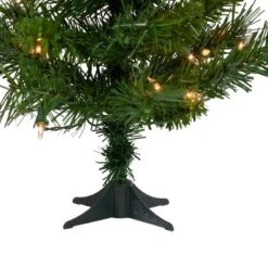 Northlight Pre-Lit Medium Royal Pine Artificial Christmas Tree - 2' - Clear Lights 12 Northlight Pre-Lit Medium Royal Pine Artificial Christmas Tree - 2' - Clear Lights -Home decor GUEST 86e596a2 ed07 4425 8bac 3ee2a1453423