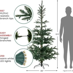 Northlight Real Touch™️ Pre-Lit Pencil Nordmann Fir Artificial Christmas Tree - 6.5' - Warm Clear LED Lights 16 Northlight Real Touch™️ Pre-Lit Pencil Nordmann Fir Artificial Christmas Tree - 6.5' - Warm Clear LED Lights -Home decor GUEST 87532dff cf00 4625 b499 805197cce026
