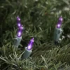 Northlight LED Mini Christmas Lights - Purple -33' Green Wire - 100ct 2 Northlight LED Mini Christmas Lights - Purple -33' Green Wire - 100ct -Home decor GUEST 87cda629 a972 4183 abe8 02c8c1acd8ee