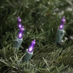 Northlight LED Mini Christmas Lights - Purple -33' Green Wire - 100ct