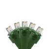 Northlight LED Wide Angle Christmas Lights - Warm White - 9.5' Green Wire - 20ct 2 Northlight LED Wide Angle Christmas Lights - Warm White - 9.5' Green Wire - 20ct -Home decor GUEST 8accecbc 1bae 44a8 b2c8 2584e12aa696