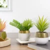 Northlight 6.5" Potted Mixed Artificial Succulent Arrangement -Home decor GUEST 8d7c409e 6134 4cd7 a52a 56929550f7c0