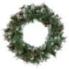 Northlight Snow Valley Pine Artificial Christmas Wreath, 24-Inch, Unlit 1 Northlight Snow Valley Pine Artificial Christmas Wreath, 24-Inch, Unlit -Home decor GUEST 8e101367 a27f 41dc ac02 8eb62ccf1ece