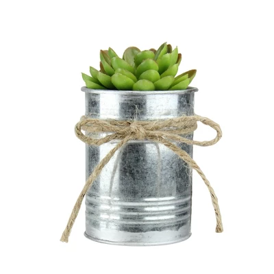 Northlight 7" Sprouting Rose Succulent Artificial Potted Plant - Green/Silver 3 Northlight 7" Sprouting Rose Succulent Artificial Potted Plant - Green/Silver
