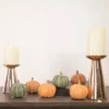 Northlight Set Of 6 Boxed Orange And Green Pumpkin Thanksgiving Decorations 2 Northlight Set Of 6 Boxed Orange And Green Pumpkin Thanksgiving Decorations -Home decor GUEST 8ffc2bcf d939 4393 b55a 31a9da2da5a6
