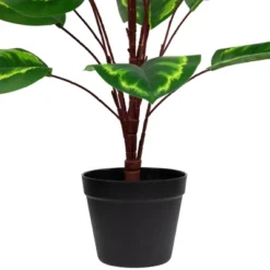Northlight 30" Two-Tone Green Calathea Artificial Potted Plant 7 Northlight 30" Two-Tone Green Calathea Artificial Potted Plant -Home decor GUEST 926c632f 5960 4dd4 a573 6ff8c01ef3bd