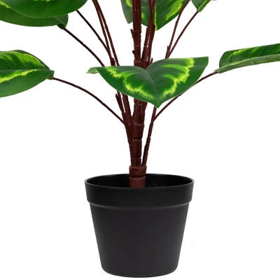 Northlight 30" Two-Tone Green Calathea Artificial Potted Plant 4 Northlight 30" Two-Tone Green Calathea Artificial Potted Plant - Image 2
