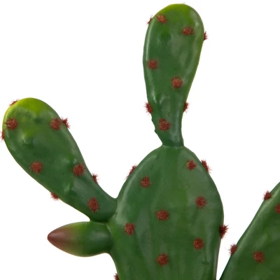 Northlight Real Touch™ Artificial Green And Red Potted Floral Cactus 9.5" 7 Northlight Real Touch™ Artificial Green And Red Potted Floral Cactus 9.5" - Image 5