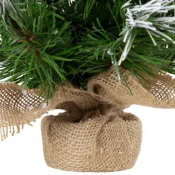 Northlight Whitecap Pine Artificial Mini Christmas Tree - 14" - Unlit 10 Northlight Whitecap Pine Artificial Mini Christmas Tree - 14" - Unlit -Home decor GUEST 950f2d55 9601 456d b760 24ee8f0eab27