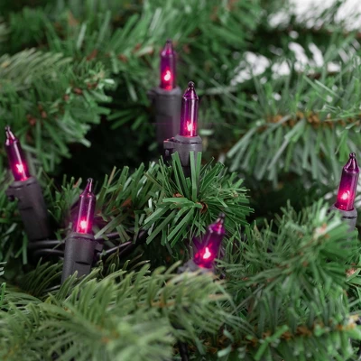 Northlight Mini Incandescent Christmas Lights - Purple - 20.25' Black Wire - 100ct 4 Northlight Mini Incandescent Christmas Lights - Purple - 20.25' Black Wire - 100ct - Image 2