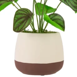 Northlight 10.25" Artificial Peperomia Plant In Two-Tone Ceramic Pot 9 Northlight 10.25" Artificial Peperomia Plant In Two-Tone Ceramic Pot -Home decor GUEST 9717fb24 19da 4293 a814 8ab59c4b7a8b