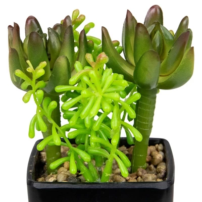 Northlight 6" Potted Green Artificial Succulent Arrangement 4 Northlight 6" Potted Green Artificial Succulent Arrangement - Image 2