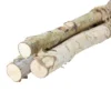 Northlight 38.5" Birch Wood Branch Bundle Christmas Display 1 Northlight 38.5" Birch Wood Branch Bundle Christmas Display -Home decor GUEST abe83021 40a1 4968 b0e8 a9bf85ee3d07