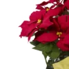Northlight 28" Red Artificial Christmas Poinsettia With Gold Wrapped Pot 2 Northlight 28" Red Artificial Christmas Poinsettia With Gold Wrapped Pot -Home decor GUEST abe976f5 8a68 4ab8 841c bf890d3e51e7