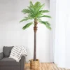 Northlight 8' Unlit Artificial Potted Phoenix Palm Tree 1 Northlight 8' Unlit Artificial Potted Phoenix Palm Tree -Home decor GUEST abfb8dc0 edbc 4699 beed 400ac37de436
