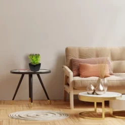 Northlight 6" Potted Green Artificial Succulent Arrangement 10 Northlight 6" Potted Green Artificial Succulent Arrangement -Home decor GUEST ae2c30e8 8b70 43e0 949f dd62ca0dae23