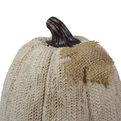 Northlight 6.25" White Pumpkin Autumn Harvest Thanksgiving Tabletop Decoration 7 Northlight 6.25" White Pumpkin Autumn Harvest Thanksgiving Tabletop Decoration -Home decor GUEST b371f364 a091 4f33 8c31 f4a08038de15