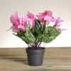 Northlight 12" Pink Potted Cyclamen Spring Artificial Floral Arrangement 2 Northlight 12" Pink Potted Cyclamen Spring Artificial Floral Arrangement -Home decor GUEST b61ec9a9 8413 4745 b320 c51f53c920c9