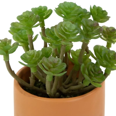 Northlight 5.5" Mini Artificial Succulent In Face Planter Pot 4 Northlight 5.5" Mini Artificial Succulent In Face Planter Pot - Image 2