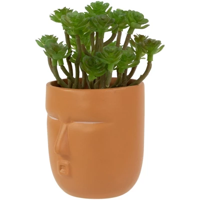 Northlight 5.5" Mini Artificial Succulent In Face Planter Pot 6 Northlight 5.5" Mini Artificial Succulent In Face Planter Pot - Image 4