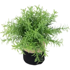 Northlight 9" Green Leafy Artificial Spring Foliage In Fabric Covered Pot -Home decor GUEST bc601b12 e40b 4292 b8cd 1b4cbbc93fce
