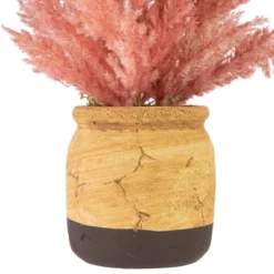 Northlight 12" Pink Cypress Artificial Plant In A Ceramic Pot 9 Northlight 12" Pink Cypress Artificial Plant In A Ceramic Pot -Home decor GUEST bcd3a654 f826 4acc 80df 9a2addb95e3c
