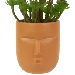 Northlight 5.5" Mini Artificial Succulent In Face Planter Pot 9 Northlight 5.5" Mini Artificial Succulent In Face Planter Pot -Home decor GUEST c1f98d74 5ae9 4df7 a367 866022fcc6ce