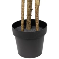 Northlight 5.5' Green Artificial Dracaena Marginata Plant In Black Pot -Home decor GUEST c34bc6b8 189e 46e8 93ad 6f1d10b791b4