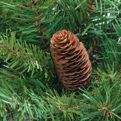 Northlight 4' Red Pine Full Profile Artificial Christmas Tree With Pine Cones - Unlit 3 Northlight 4' Red Pine Full Profile Artificial Christmas Tree With Pine Cones - Unlit