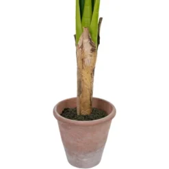 Northlight 4' Artificial Tropical Banana Tree In A Clay Pot 13 Northlight 4' Artificial Tropical Banana Tree In A Clay Pot -Home decor GUEST c812ca03 d556 408a a673 54860ee38746