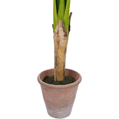 Northlight 4' Artificial Tropical Banana Tree In A Clay Pot 8 Northlight 4' Artificial Tropical Banana Tree In A Clay Pot - Image 6