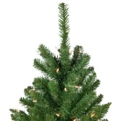 Northlight Pre-Lit Pencil White River Fir Artificial Christmas Tree - 6.5' - Clear Lights 9 Northlight Pre-Lit Pencil White River Fir Artificial Christmas Tree - 6.5' - Clear Lights -Home decor GUEST c894beb1 1b7c 4d9f beff df2ef822009f