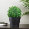 Northlight 12" Potted Artificial Boxwood Spring Plant 1 Northlight 12" Potted Artificial Boxwood Spring Plant -Home decor GUEST c9c8c13a a64a 411b 8cb4 ca323fbbc777