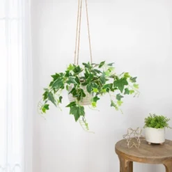 Northlight 23.75" Ivy Artificial Hanging Spring Floral Bush - Green/White