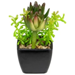 Northlight 6" Potted Green Artificial Succulent Arrangement