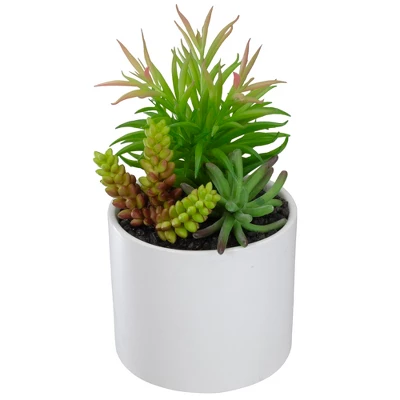 Northlight 9" Artificial Succulent Arrangement In White Ceramic Pot 5 Northlight 9" Artificial Succulent Arrangement In White Ceramic Pot - Image 3