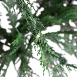 Northlight Pre-Lit Medium Weeping Cedar IPT Artificial Christmas Tree - 6.5' - Dual Color LED Lights 12 Northlight Pre-Lit Medium Weeping Cedar IPT Artificial Christmas Tree - 6.5' - Dual Color LED Lights -Home decor GUEST d1c63646 f460 4a3a 8c6c 8fbb6bfcea87