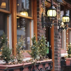 Northlight 10-Count Clear Mini Christmas Light Set - 3' Green Wire 16 Northlight 10-Count Clear Mini Christmas Light Set - 3' Green Wire -Home decor GUEST e4a1fd54 a198 4b16 87b1 7eee5bb69bd1