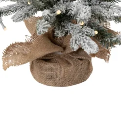 Northlight Real Touch™ Pre-Lit B/O Tamarack Pine Artificial Christmas Tree With Burlap - 2' Warm White LED 12 Northlight Real Touch™ Pre-Lit B/O Tamarack Pine Artificial Christmas Tree With Burlap - 2' Warm White LED -Home decor GUEST e7d34180 7e9d 4837 b522 c67dedd5279c
