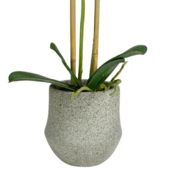 Northlight 14" Purple Artificial Orchid Plant With A Gray Stone Pot -Home decor GUEST eab57793 c235 4dab 9fff 1808a8ed3ecb