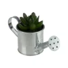 Northlight 4" X Pachyveria Succulent In Water Can Artificial Potted Plant - Green/Silver -Home decor GUEST ebf9396e 0dac 4107 9249 4ae896ca3a18