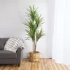 Northlight 5.5' Green Artificial Dracaena Marginata Plant In Black Pot 1 Northlight 5.5' Green Artificial Dracaena Marginata Plant In Black Pot -Home decor GUEST ec64f269 48a4 4a5f 9e2f 0f931aee7aa1