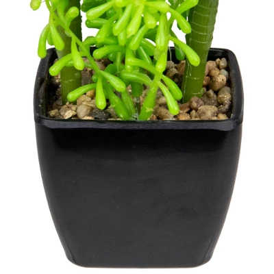 Northlight 6" Potted Green Artificial Succulent Arrangement 5 Northlight 6" Potted Green Artificial Succulent Arrangement - Image 3