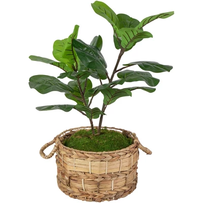 Northlight 26" Dark Green Artificial Potted Fiddle-Leaf Fig Plant 4 Northlight 26" Dark Green Artificial Potted Fiddle-Leaf Fig Plant - Image 2