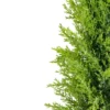 Northlight 1.4 FT Upswept Frosted Cedar Artificial Christmas Tree - Unlit 1 Northlight 1.4 FT Upswept Frosted Cedar Artificial Christmas Tree - Unlit -Home decor GUEST f6121c80 3b47 481f ac22 01731b768b5c