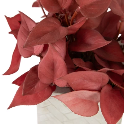 Northlight Real Touch™ Brick Red Artificial Peperomia Plant In Square Lattice Designed Pot - 7 " 5 Northlight Real Touch™ Brick Red Artificial Peperomia Plant In Square Lattice Designed Pot - 7 " - Image 3