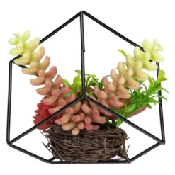 Northlight 5.5" Artificial Succulent Arrangement In Black Metal Wire Frame 9 Northlight 5.5" Artificial Succulent Arrangement In Black Metal Wire Frame -Home decor GUEST fa240385 37e0 4a19 bb6f 522d160b9dc2